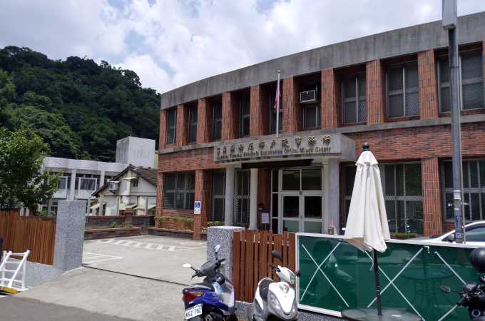 苗栗南庄找離婚證人服務